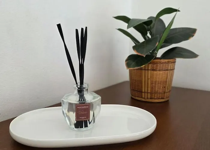 Easy Albese Comfort